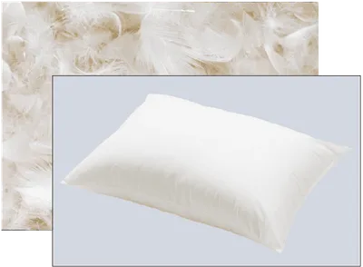 A white pillow is shown in front of a close-up background image of white feathers, suggesting the pillow is filled with feathers.