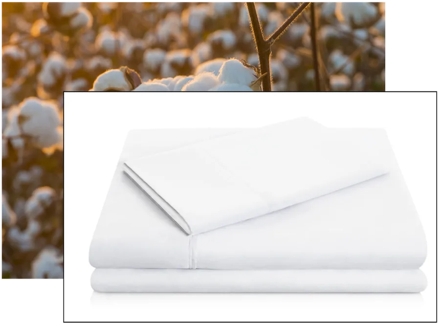 White bed sheets stacked neatly, overlaid on a background of cotton plants in a field.