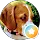 Geri Grove profile picture